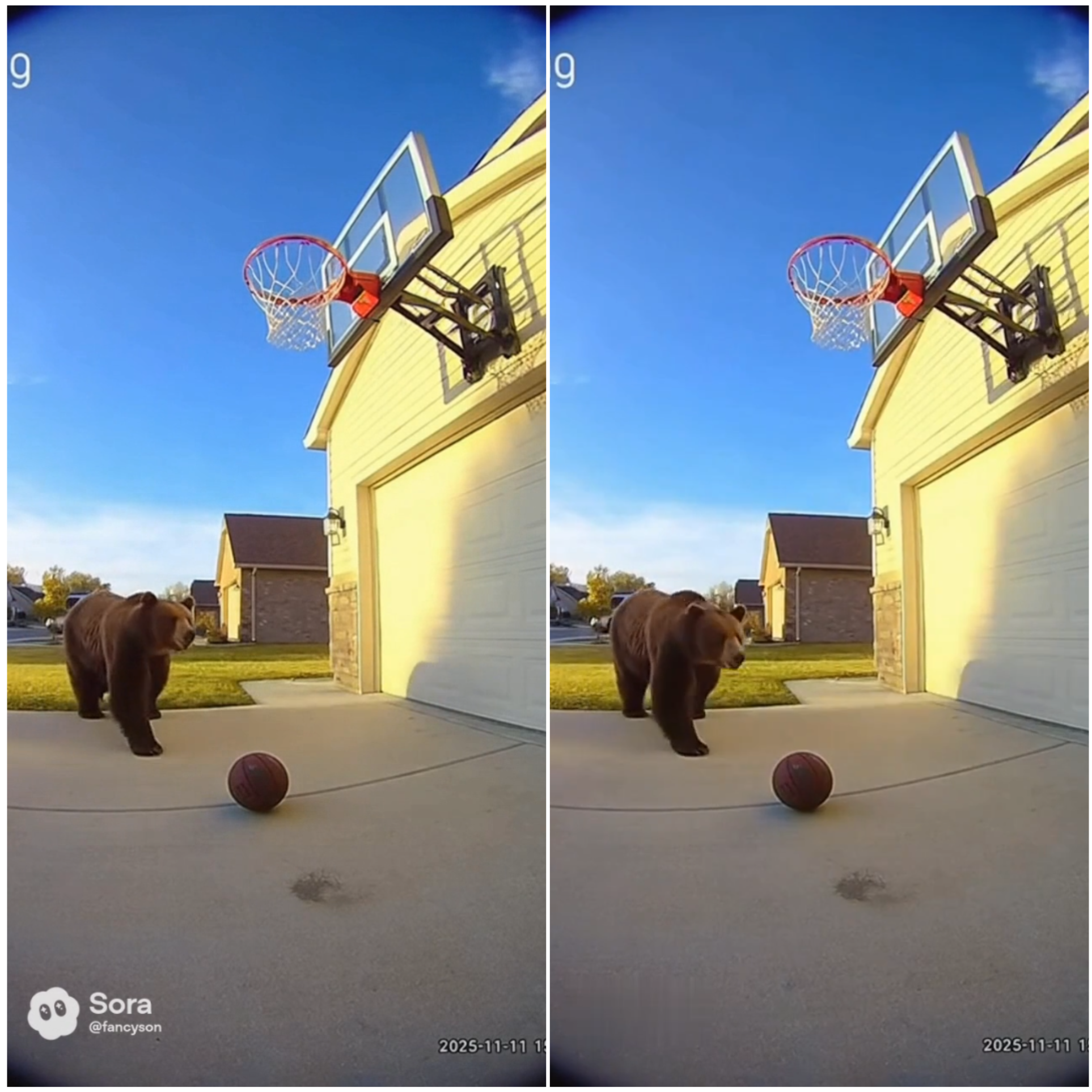 Пример видео с водяным знаком и без